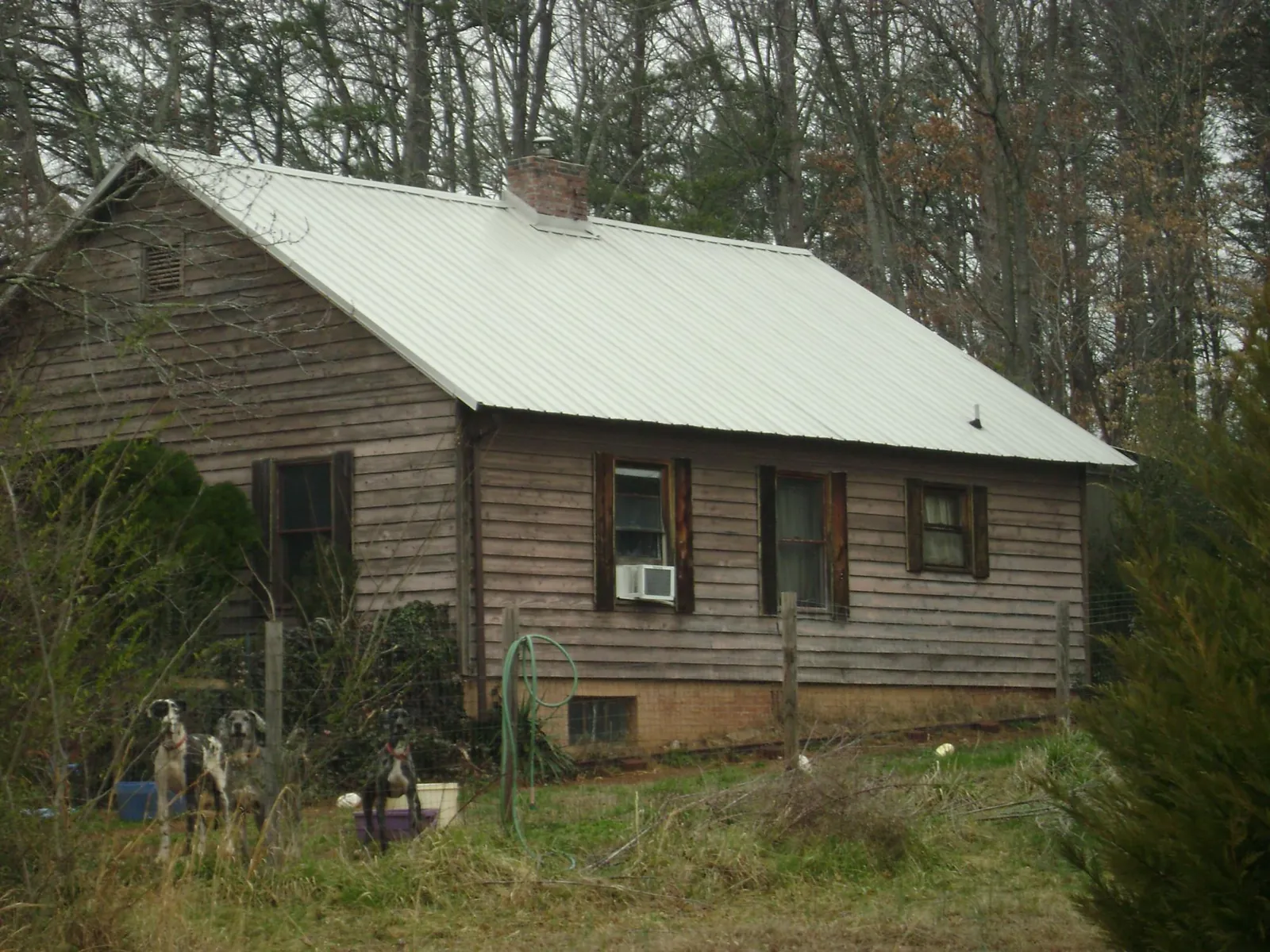 White metal roof on an old wood sided farmhouse, from a Metal Roof Installation job in Copalis Beach